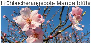 Frühbucherangebote zur Mandeblüte