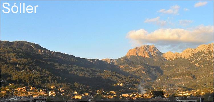 Soller