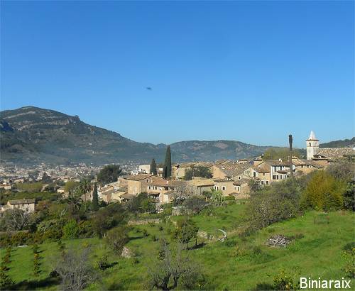 Soller