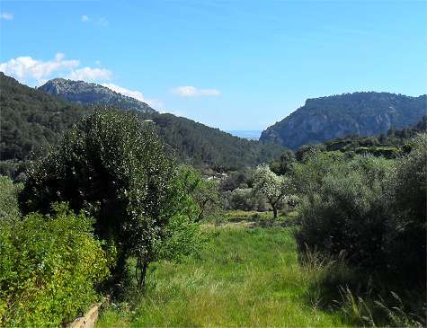 Valldemossa