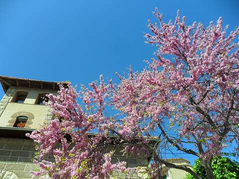 Valldemossa