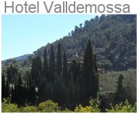 Hotel Valldemossa